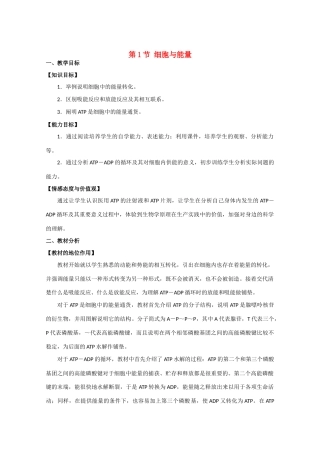 高中生物《细胞与能量》教案2 浙教版必修1