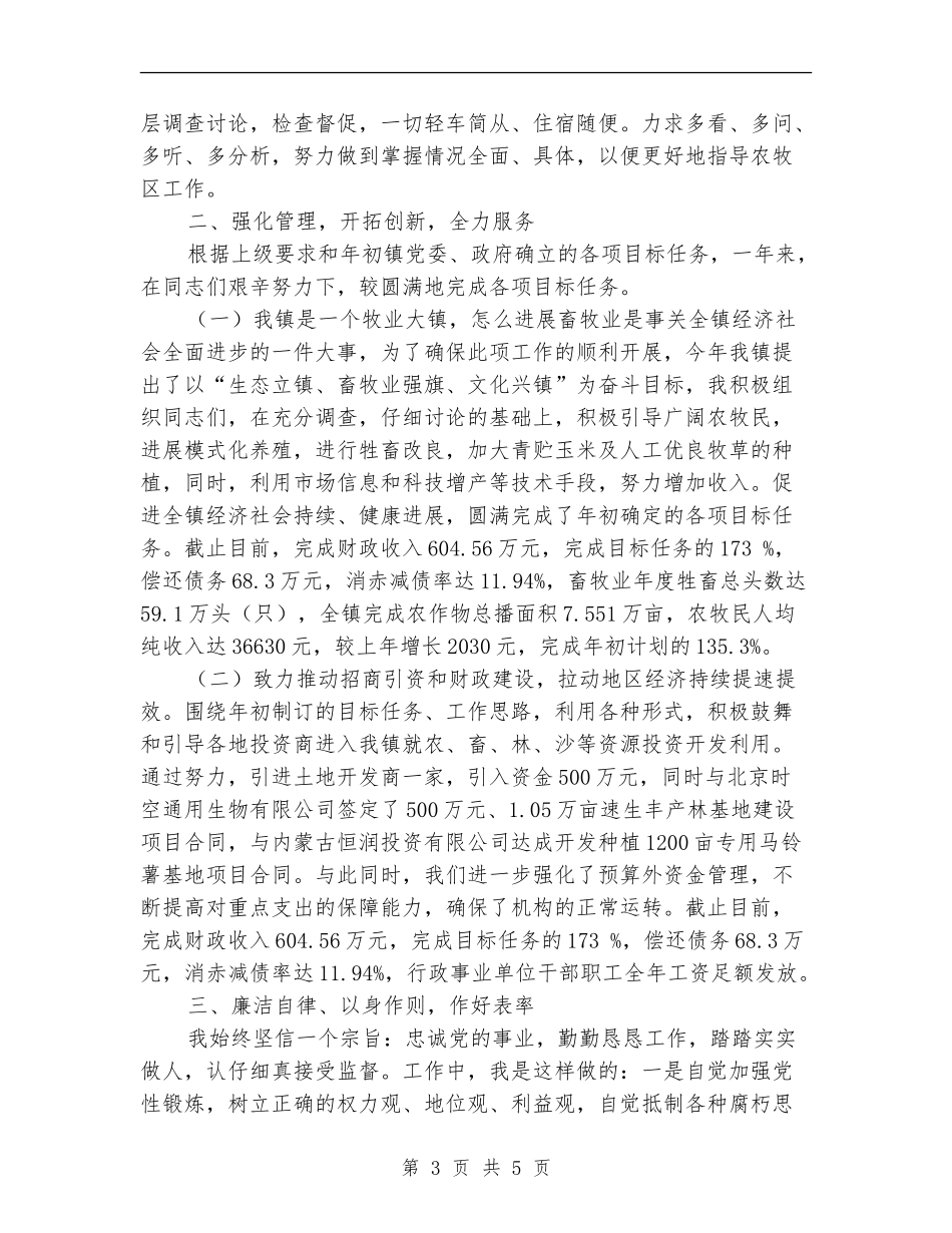 乡镇党委书记个人工作总结【新版】_第3页