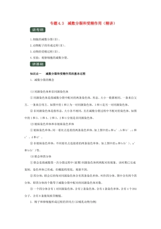 高考生物一轮复习 专题4.3 减数分裂和受精作用（讲）（含解析）-人教版高三全册生物教案
