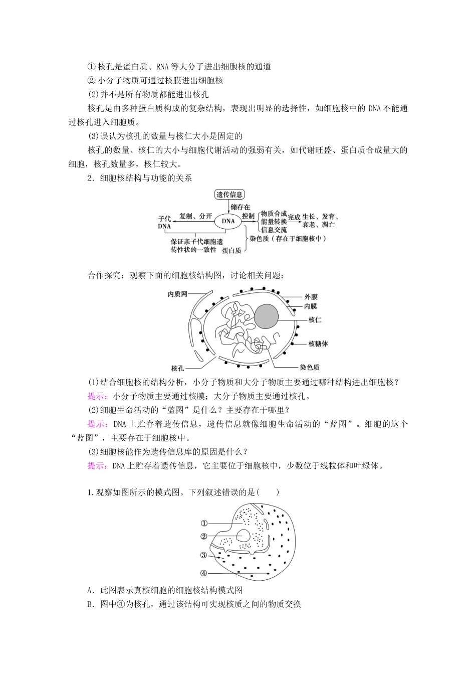 高中生物 第2章 细胞的结构 第4节 细胞核是细胞生命活动的控制中心教案 浙科版必修第一册-浙科版高中第一册生物教案_第3页