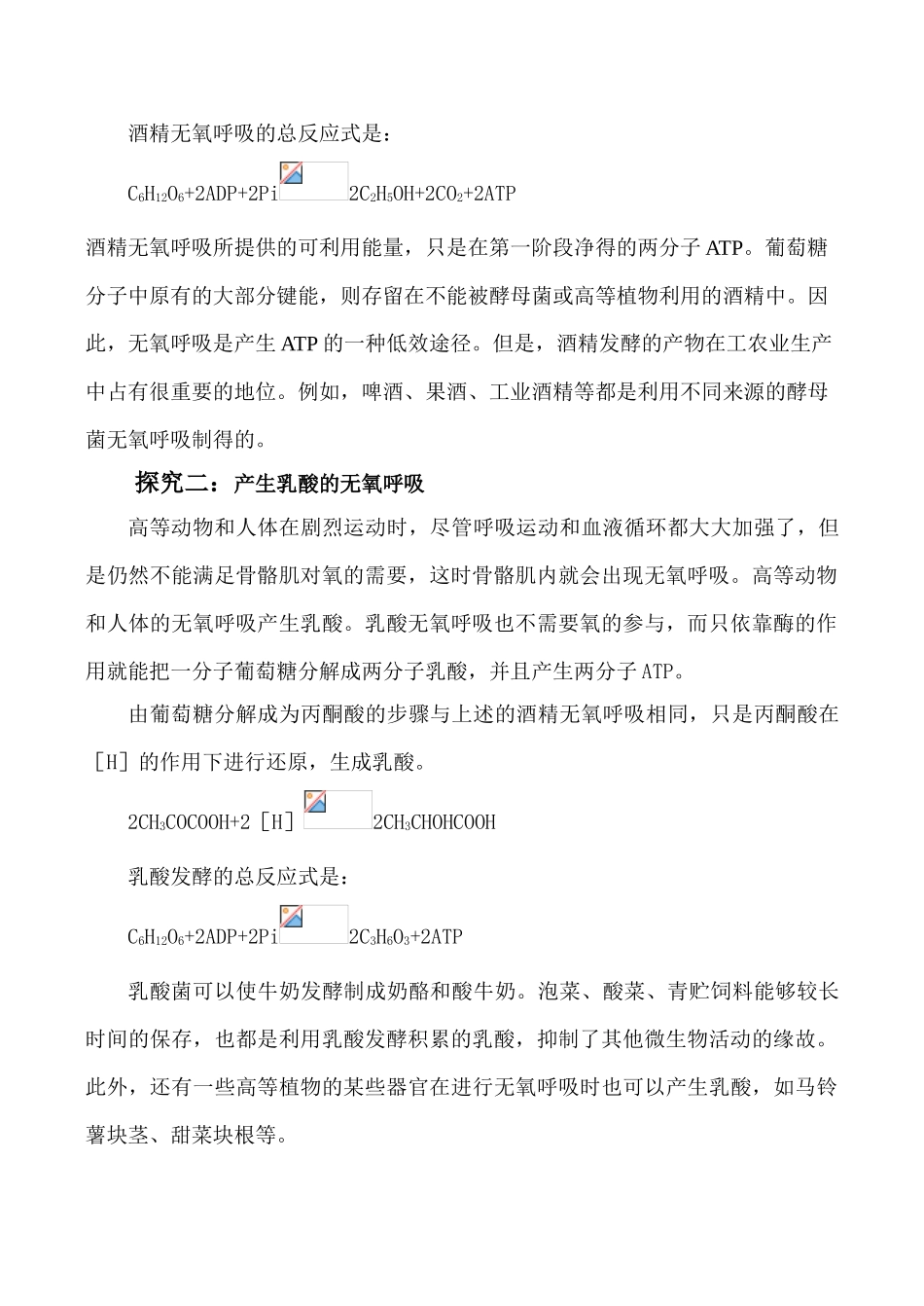 高中生物人教版必修1ATP的主要来源—细胞呼吸2_第2页
