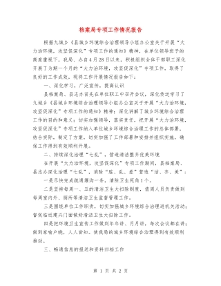 档案局专项工作情况报告