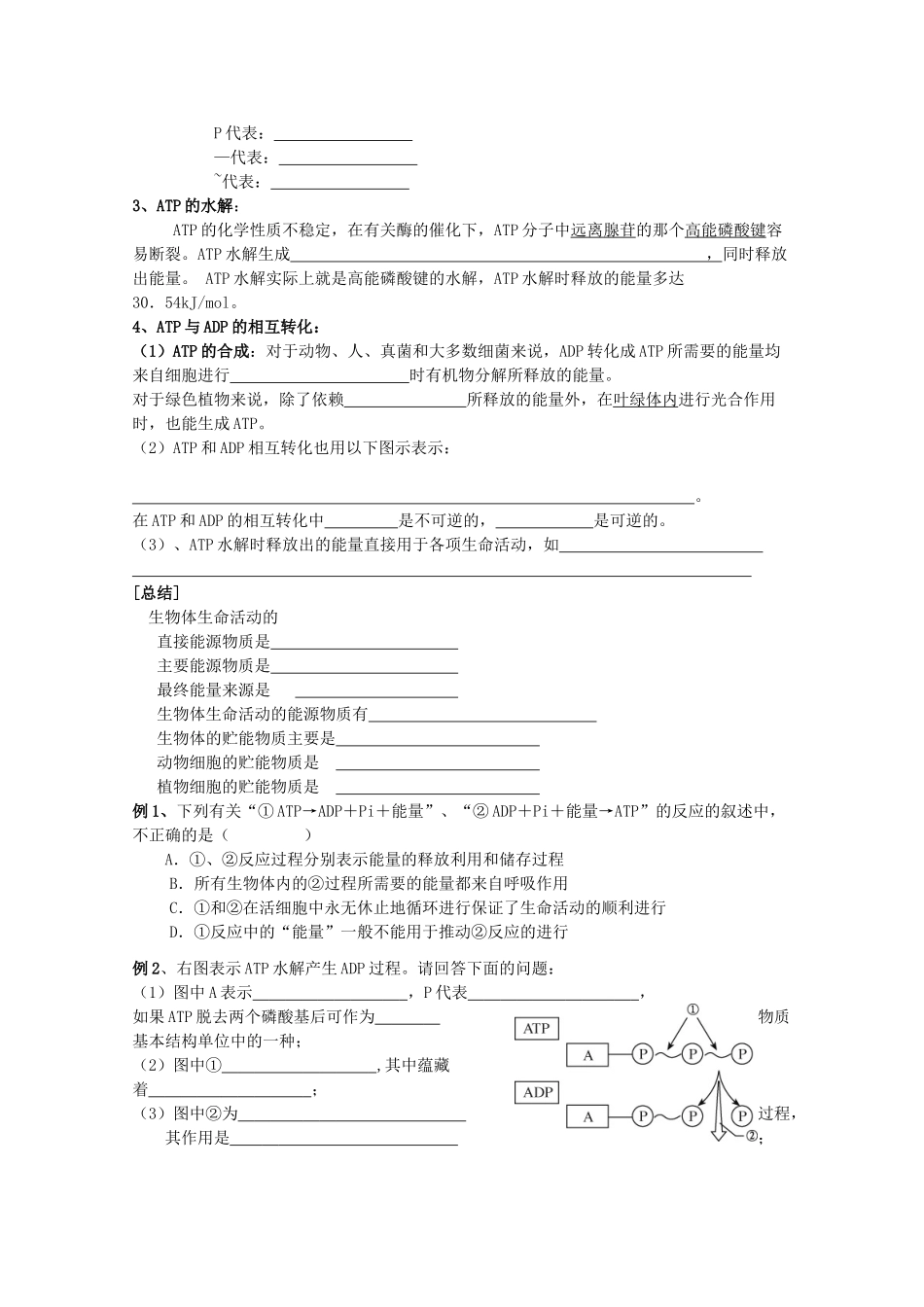 高中生物 4—1、ATP和酶教案（学生版） 必修1_第2页