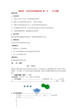 高中生物 4—1、ATP和酶教案（学生版） 必修1