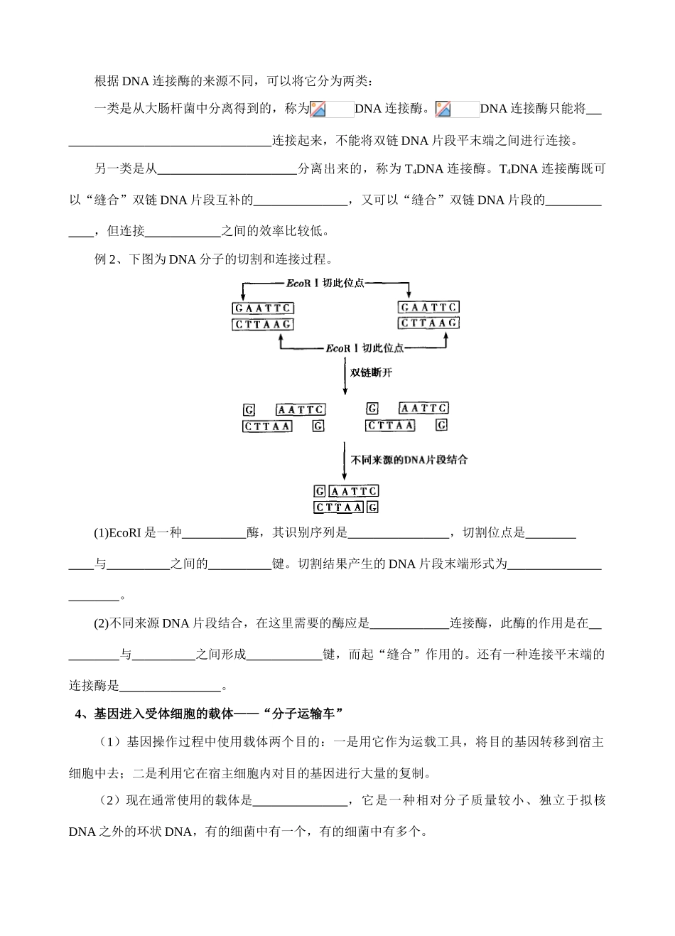 高中生物《DNA重组技术的基本工具》教案4 新人教版选修3_第2页