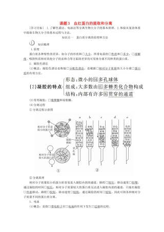 高中生物 专题5 DNA和蛋白质技术 课题3 血红蛋白的提取和分离教案 新人教版选修1-新人教版高二选修1生物教案