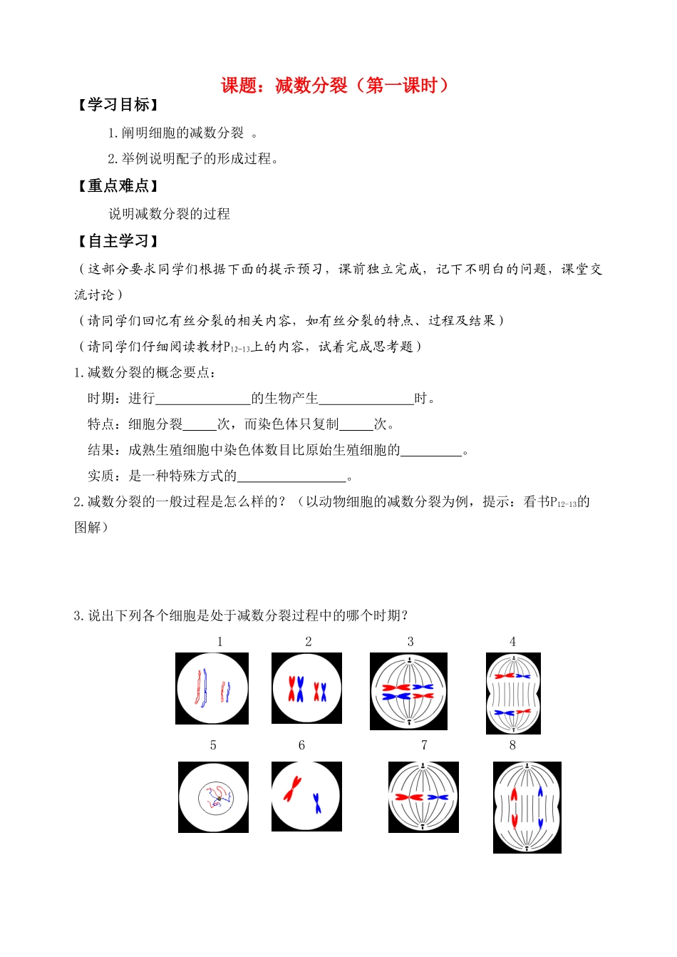 高中生物减数分裂1教案新人教版必修2_第1页