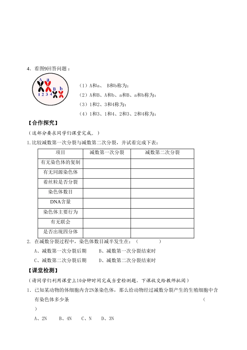 高中生物减数分裂1教案新人教版必修2_第2页