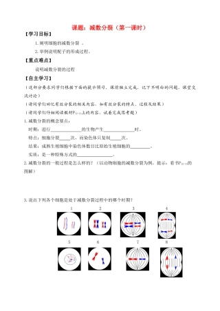 高中生物减数分裂1教案新人教版必修2