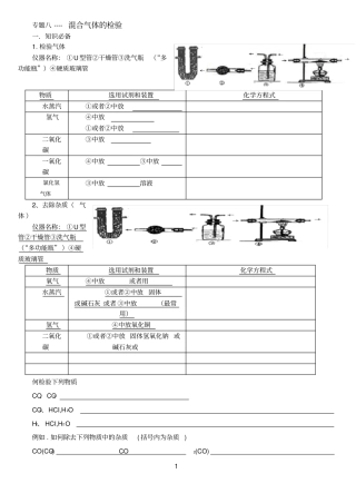专题八-----混合气体的检验