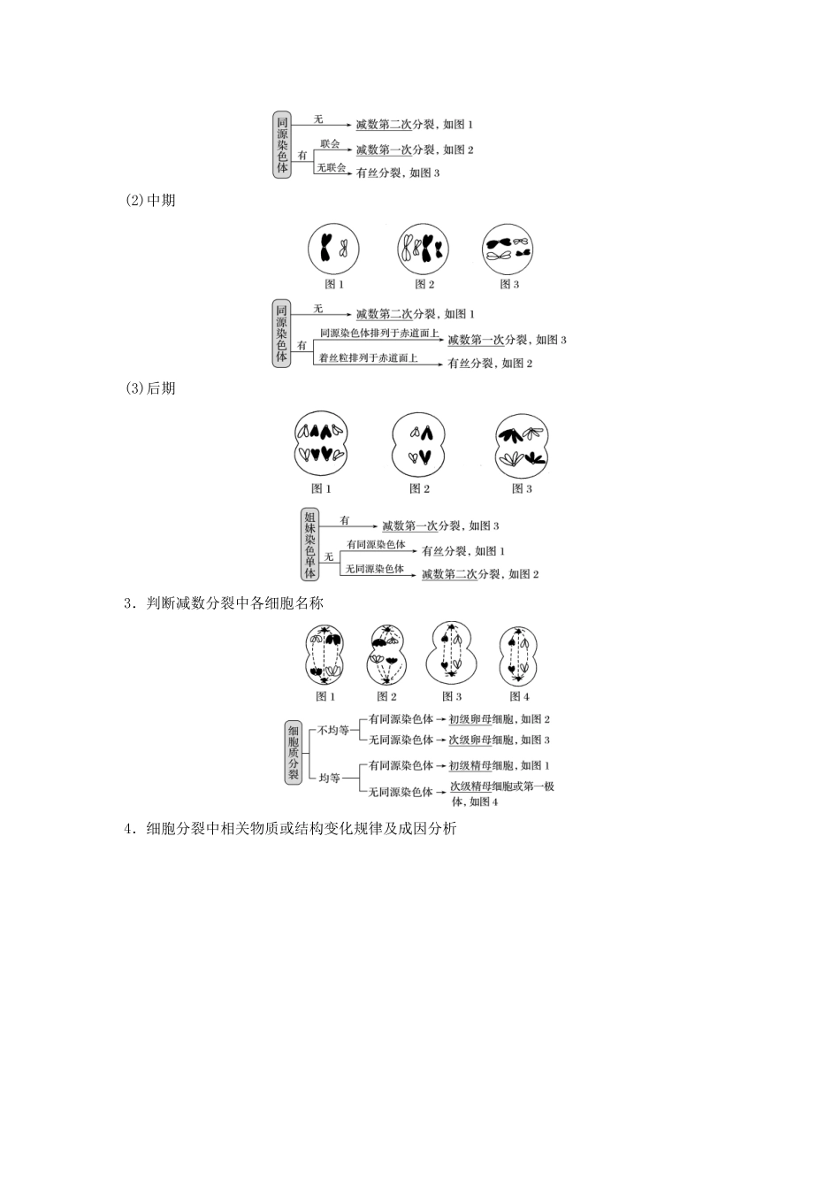 （浙江专用）高考生物二轮复习 专题一 细胞的分子组成、结构及生命历程 第2讲 细胞的生命历程(含减数分裂、遗传的染色体学说)教案-人教版高三全册生物教案_第2页