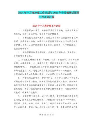 2024年十月度护理工作计划与2024年十月销售试用期工作计划汇编