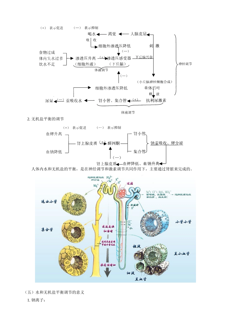 高三生物新课 人体生命活动的调节 第一节 人体的稳态 人教版_第3页