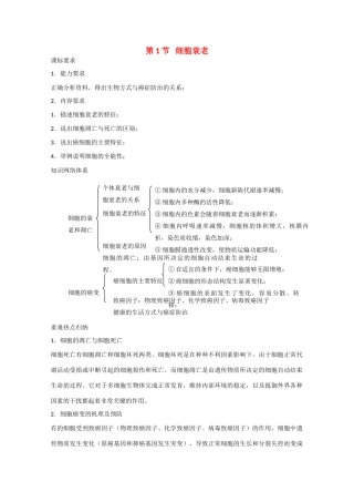 高中生物：4.2.1 细胞衰老 教案3中图版必修1