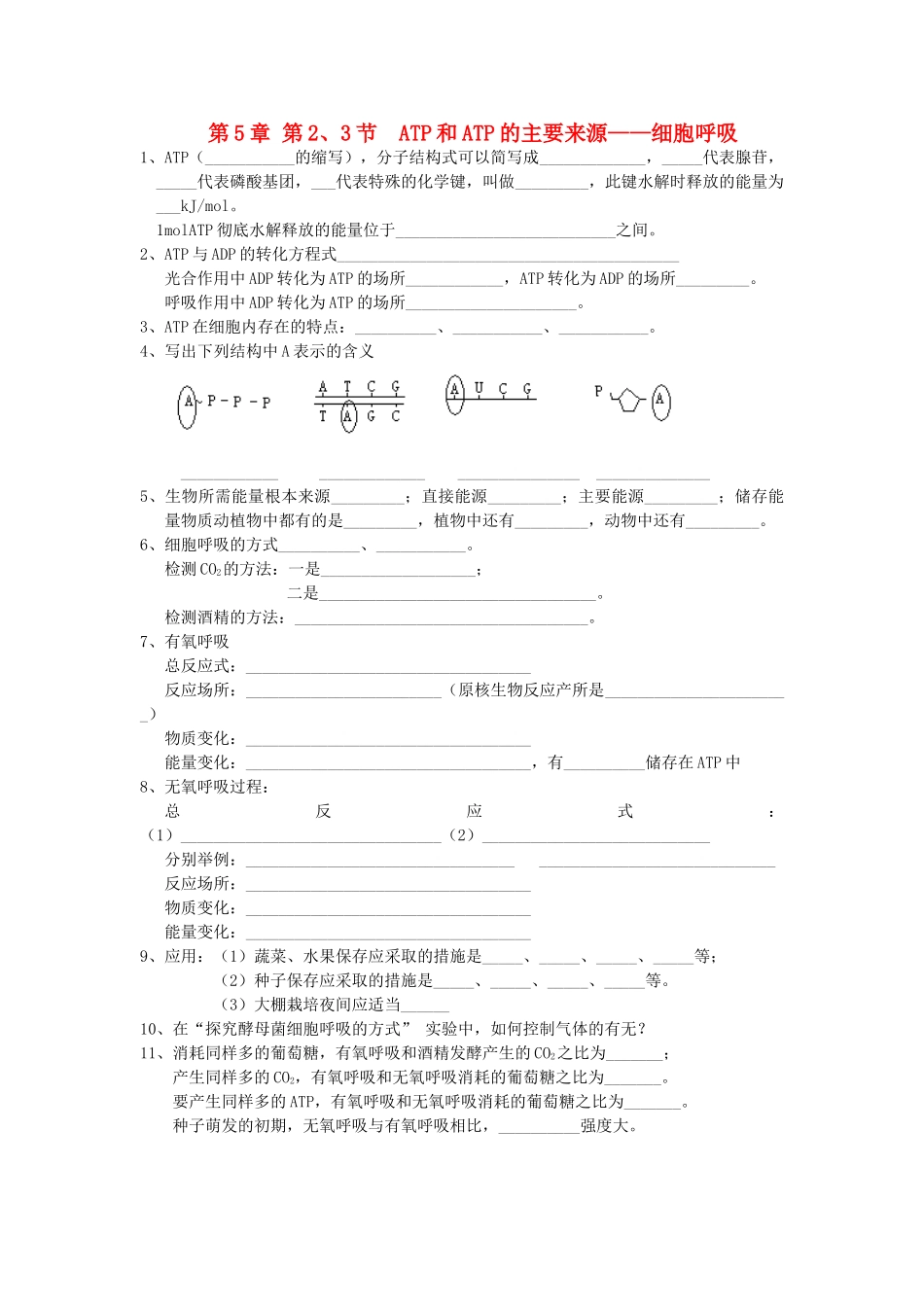 高中生物 全册复习提纲 第5章 细胞的能量供应和利用 第3节 ATP和ATP的主要来源——细胞呼吸 第2节 细胞的能量“通货”——ATP教案 新人教版必修1-新人教版高中必修1生物教案_第1页
