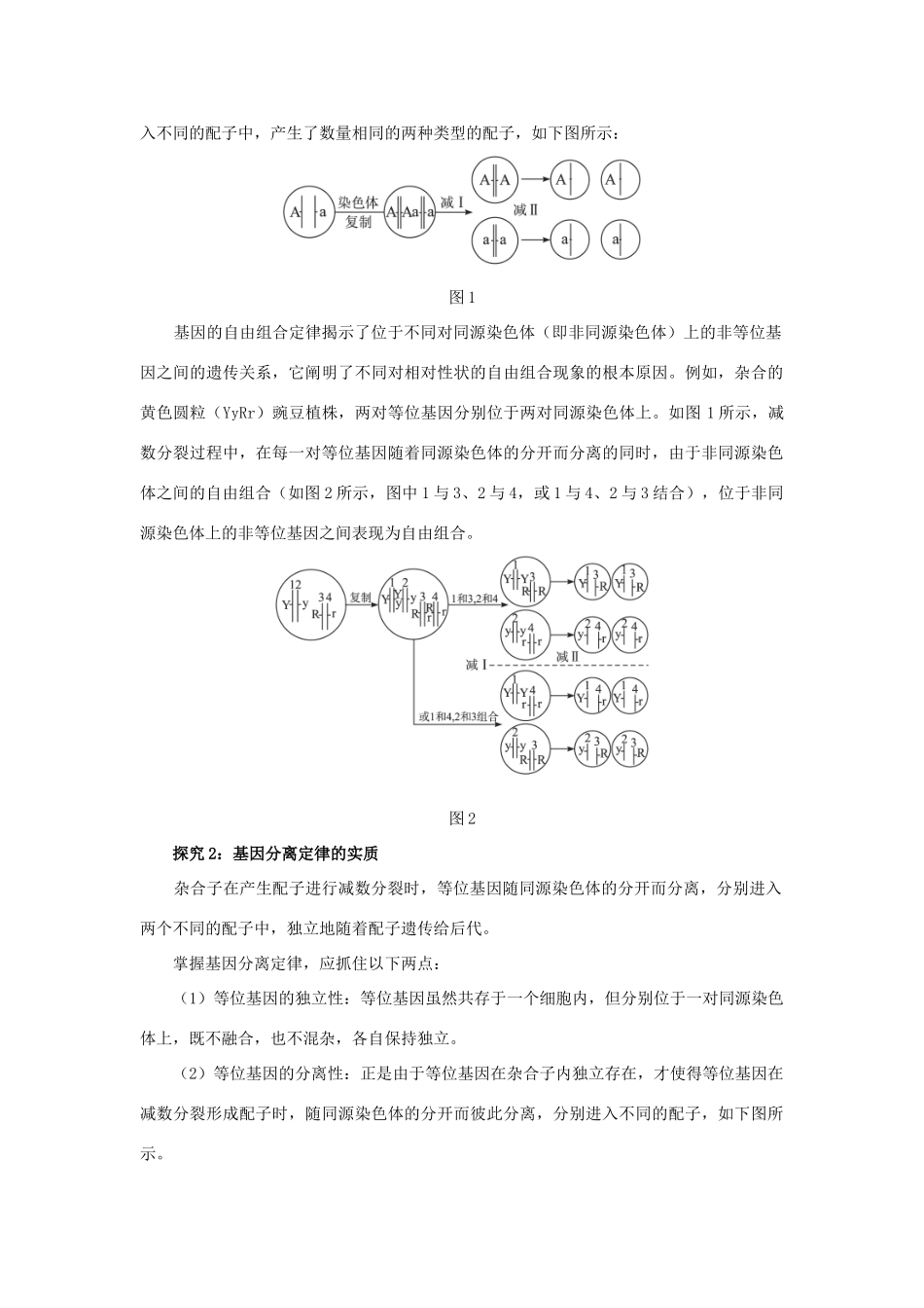 高中生物 第二节遗传的染色体学说辅导教案 浙科版_第2页