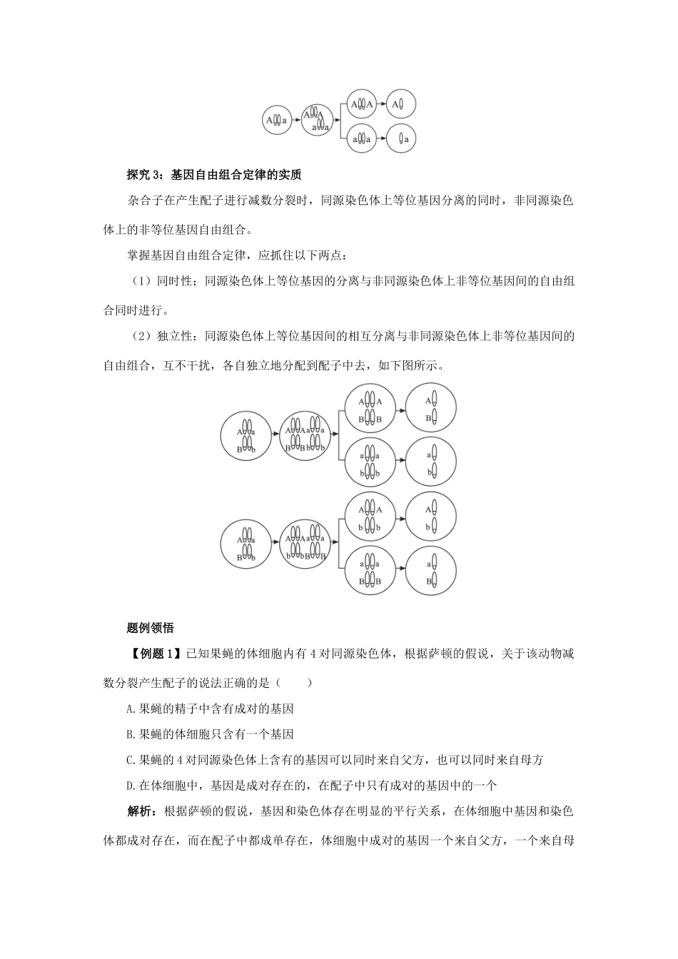 高中生物 第二节遗传的染色体学说辅导教案 浙科版_第3页