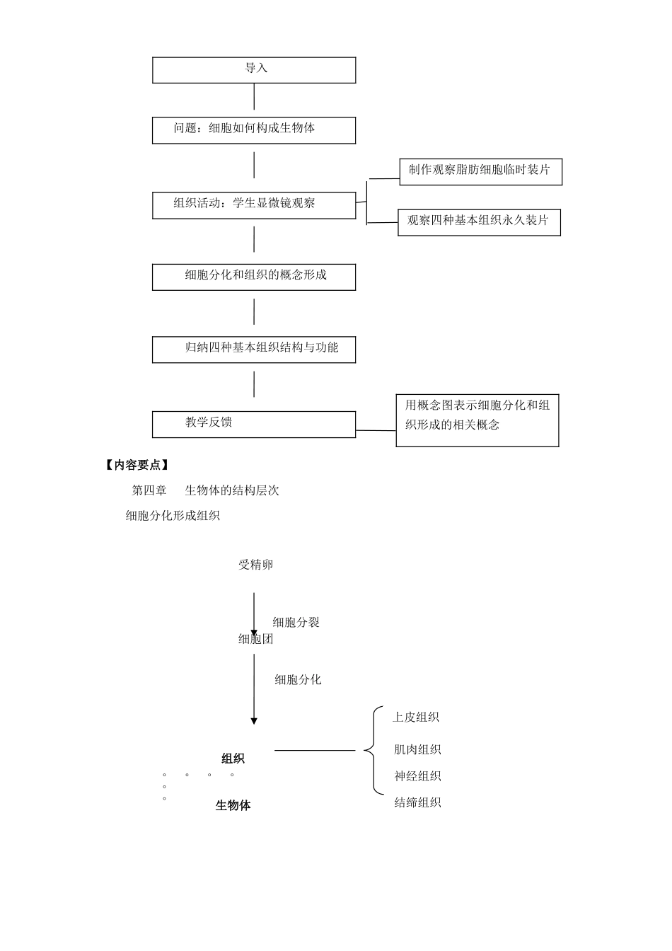 七年级生物上册 第4章 第1节 细胞分化形成组织教案1 北师大版_第2页
