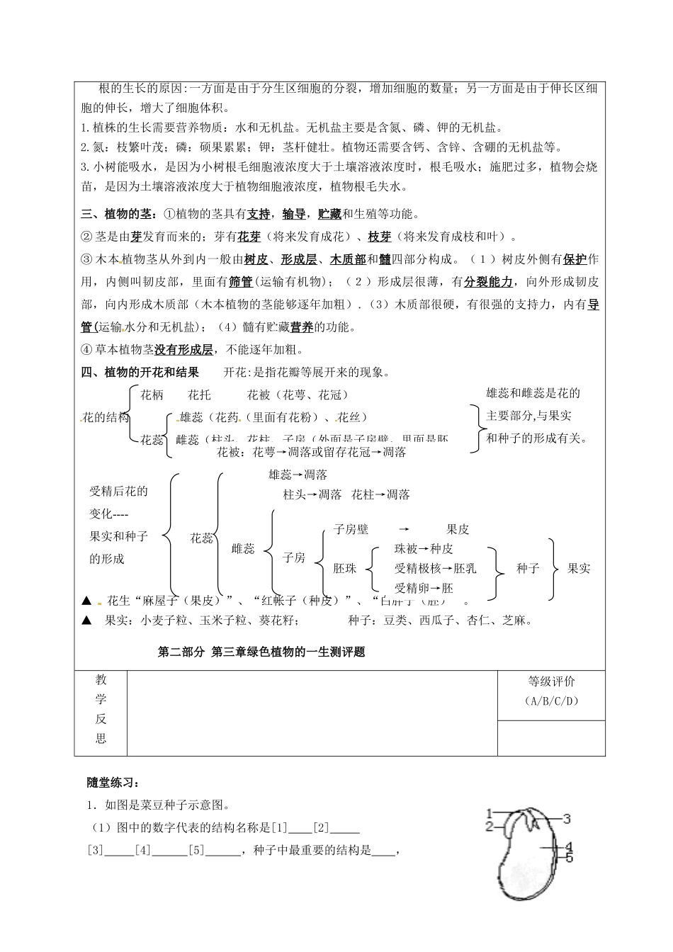 七年级生物上册 第5章 绿色植物的一生复习教案 苏教版-苏教版初中七年级上册生物教案_第3页
