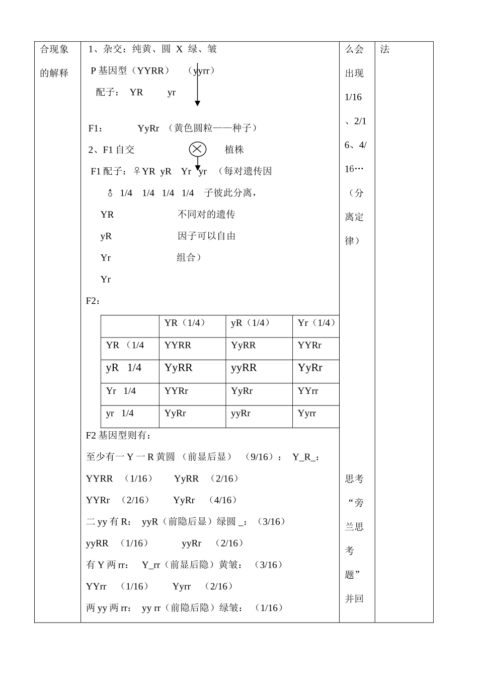 第一章 遗传因子的发现  第2节 孟德尔的豌豆杂交实验（二）_第3页