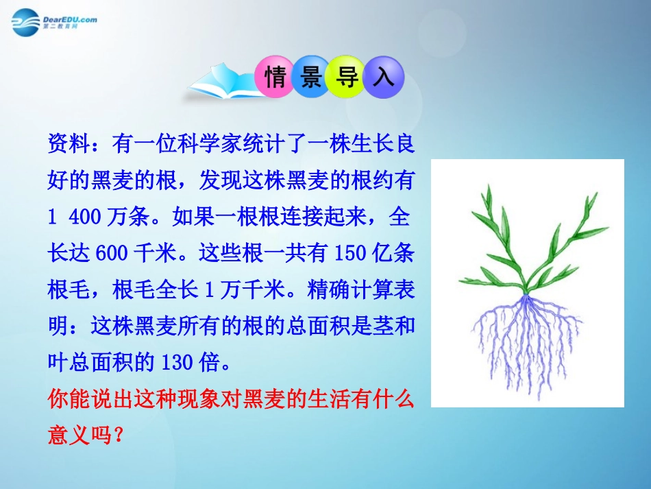 七年级生物上册 3.2.2 植株的生长课件 （新版）新人教版_第1页