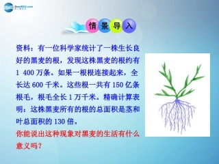 七年级生物上册 3.2.2 植株的生长课件 （新版）新人教版
