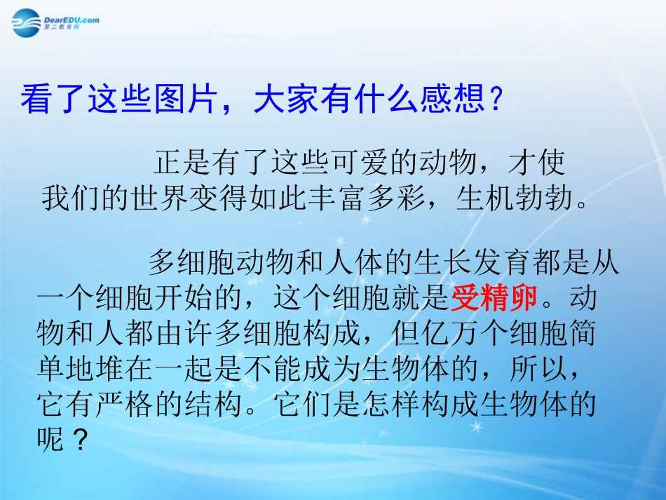 七年级生物上册 2.2.2 动物体的结构层次课件 （新版）新人教版_第3页
