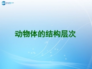 七年级生物上册 2.2.2 动物体的结构层次课件 （新版）新人教版