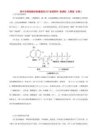高中生物细胞的能量通货ATP备课资料 新课标 人教版 必修1