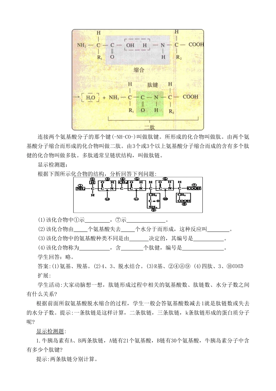 高中生物组成生物体的化合物教案(2)人教版 必修1_第3页