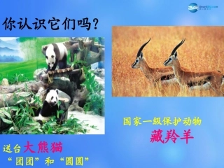 七年级生物上册 第1章 第1节 形形色色的生物课件2 北师大版