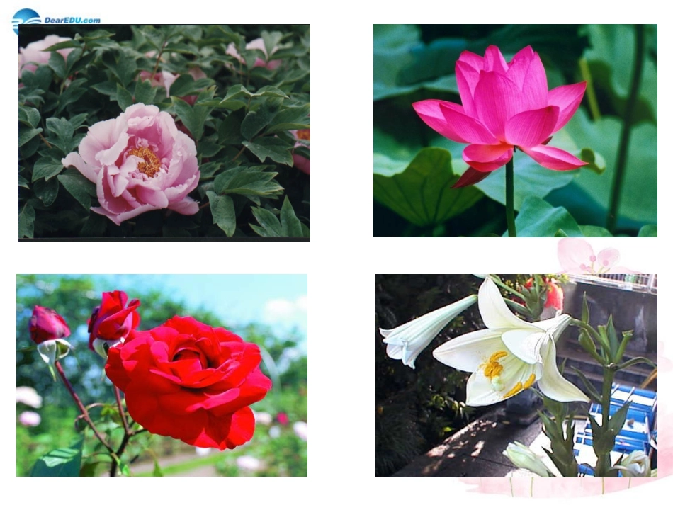 七年级生物下册 第八章 第一节 精卵结合孕育新的生命课件1 （新版）苏教版_第1页