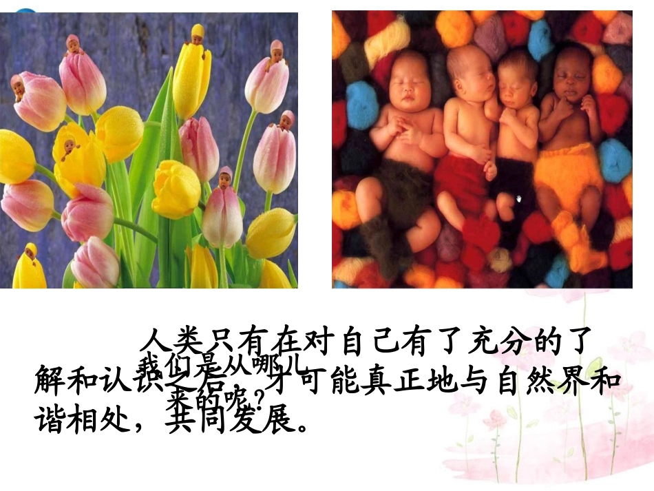 七年级生物下册 第八章 第一节 精卵结合孕育新的生命课件1 （新版）苏教版_第2页