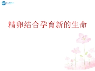 七年级生物下册 第八章 第一节 精卵结合孕育新的生命课件2 （新版）苏教版