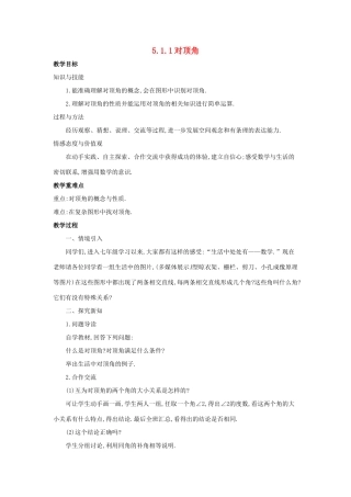 七年级数学上册 第五章 相交线与平行线 5.1.1 对顶角教案 （新版）华东师大版-（新版）华东师大版初中七年级上册数学教案