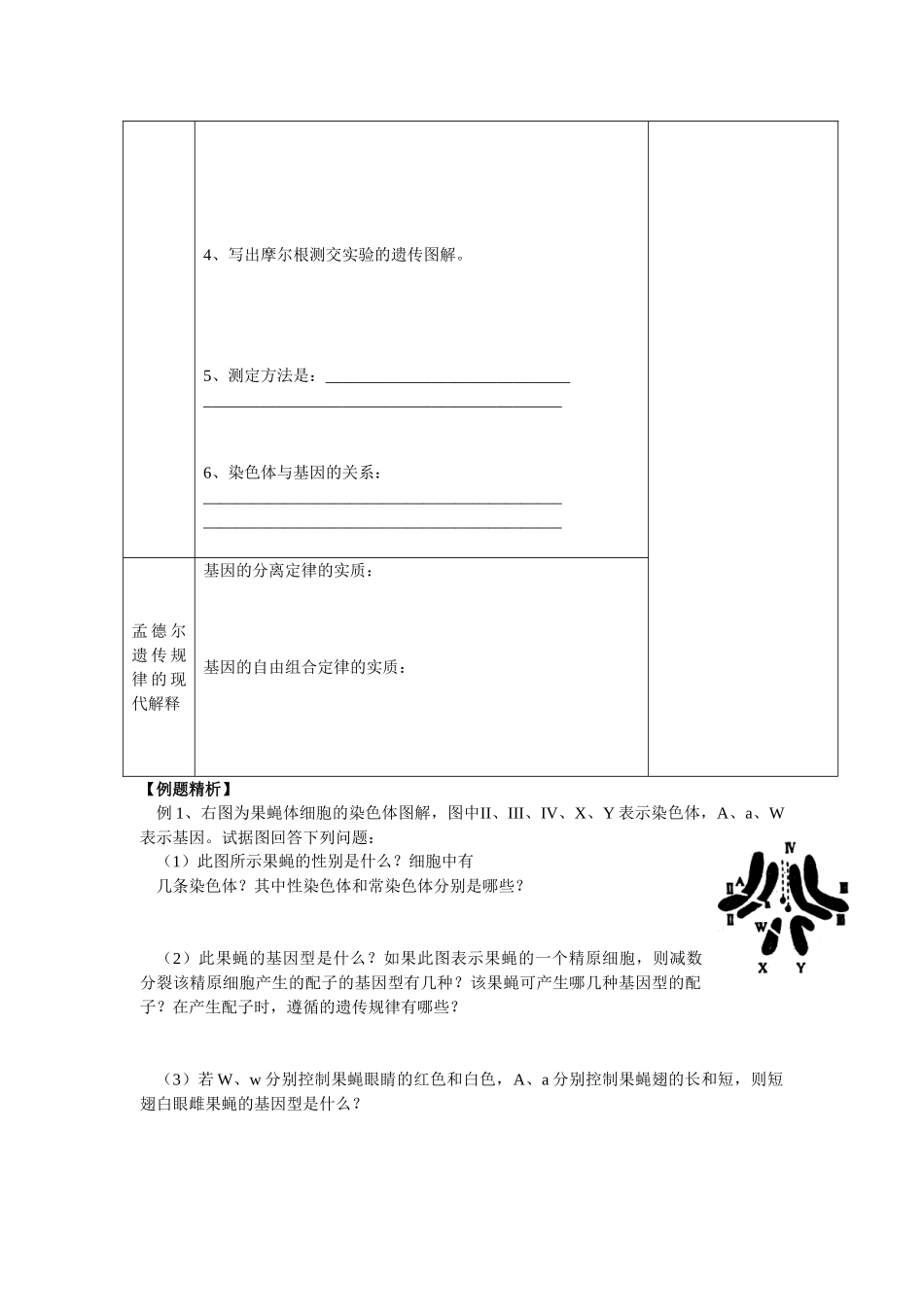 高中生物2节　基因在染色体上_第2页