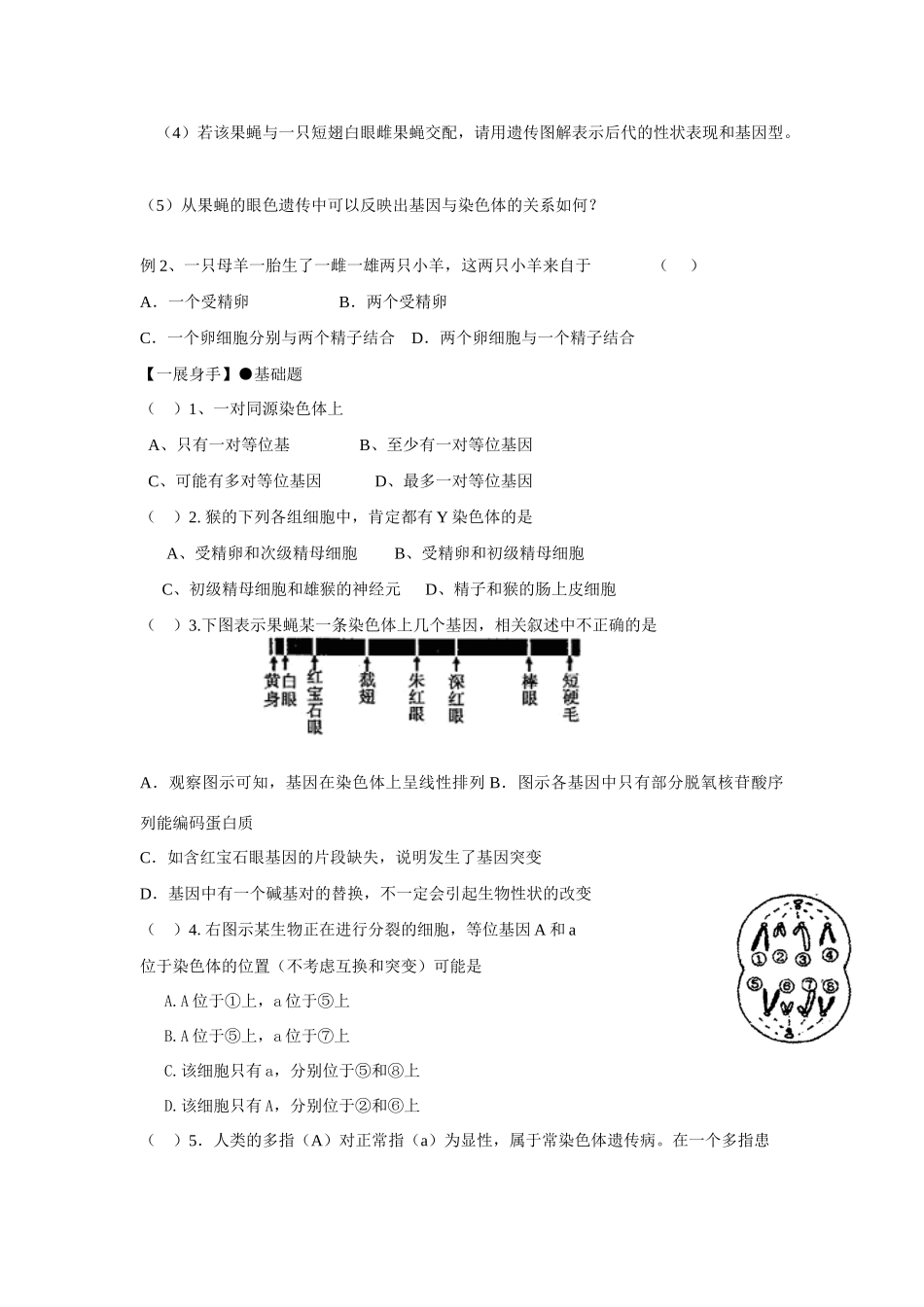 高中生物2节　基因在染色体上_第3页