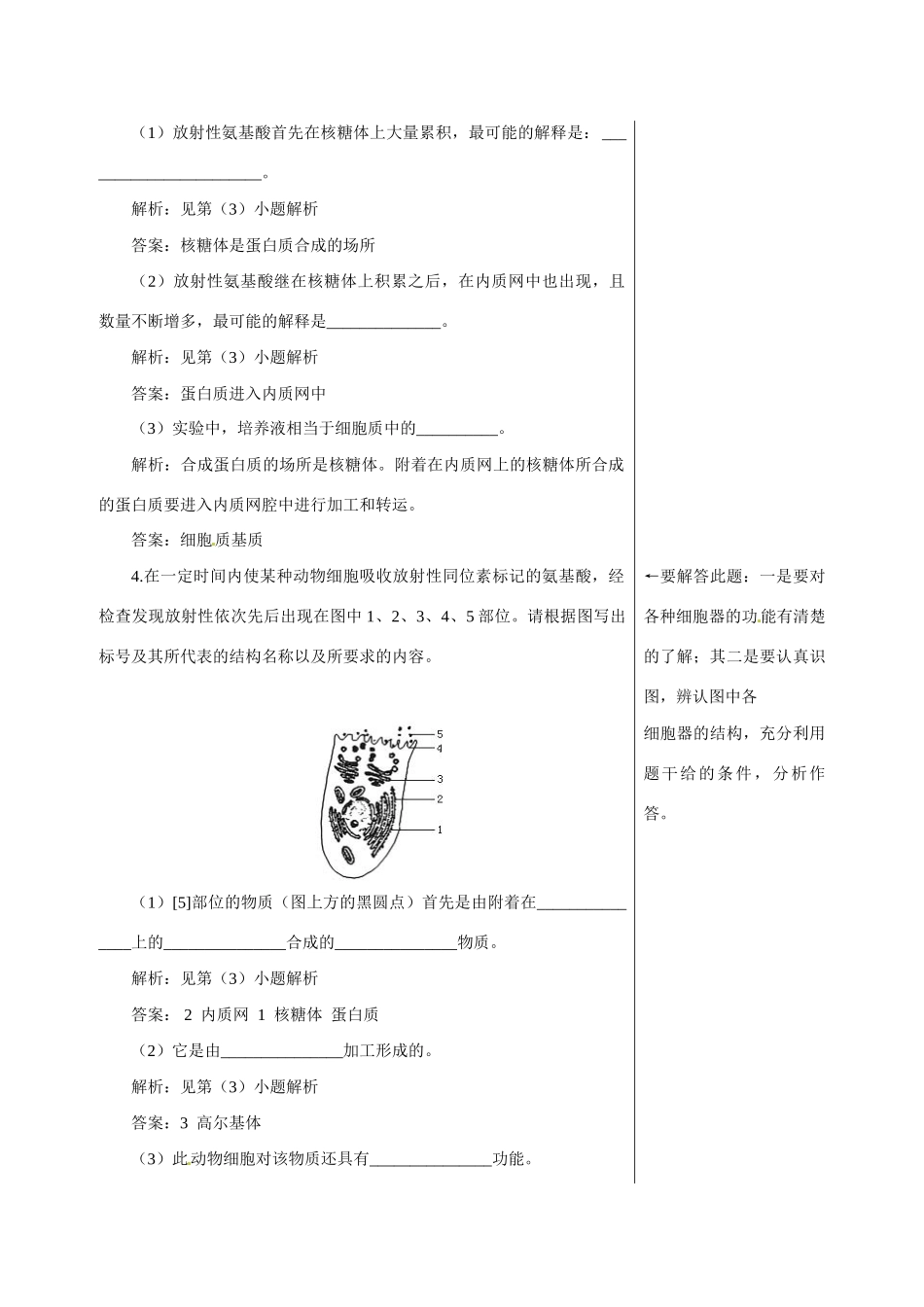 高中生物：教案：蛋白质的合成与运输中图版必修1_第2页