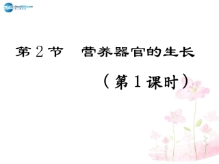 七年级生物上册 第6章 第2节 营养器官的生长课件1 北师大版