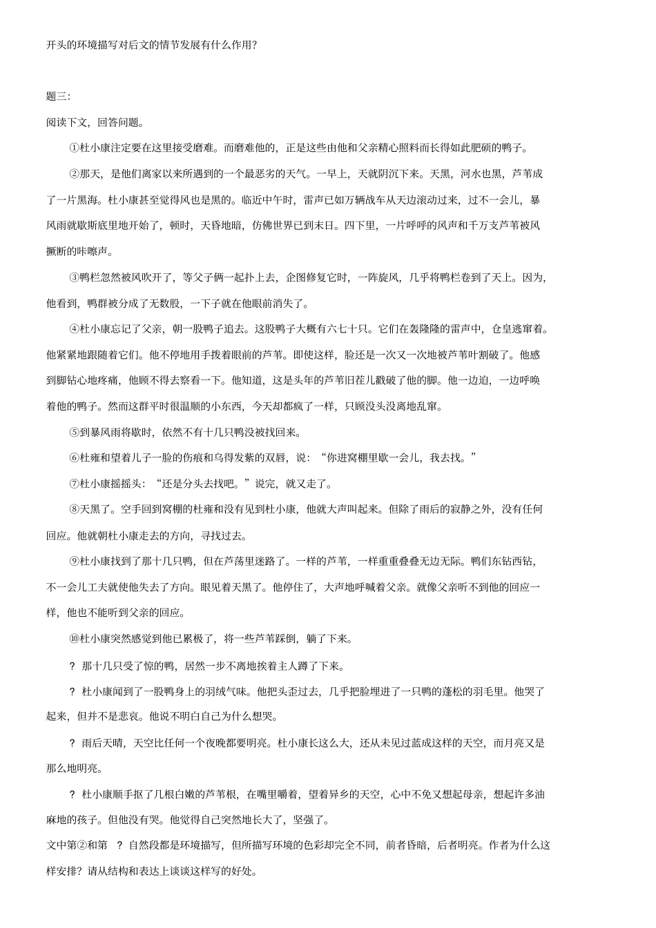 人教版语文八下小说阅读：环境描写的作用分析(含练习及答案)_第3页