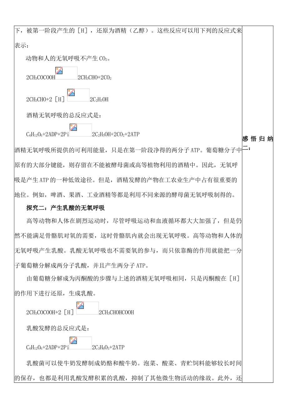 高中生物《ATP的主要来源——细胞呼吸》教案13 新人教版必修1_第3页