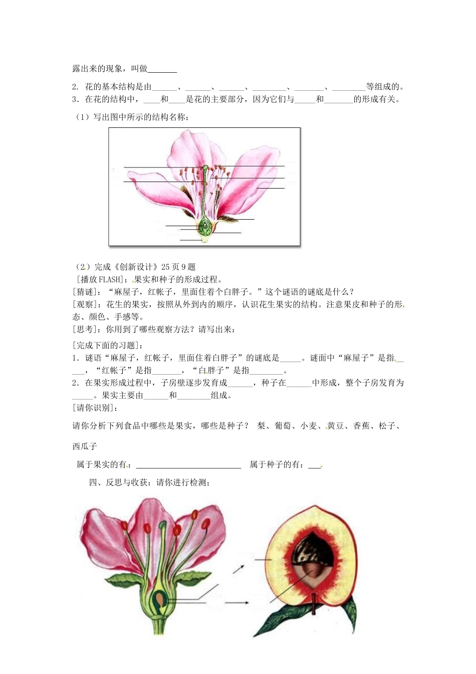 七年级生物上册 5.5 植物的开花和结果教案 苏教版_第2页