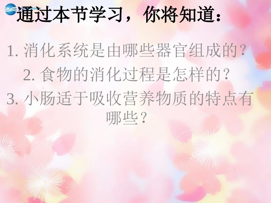 山东省泰安市新泰七年级生物下册 第二章 第二节消化和吸收课件 新人教版_第2页
