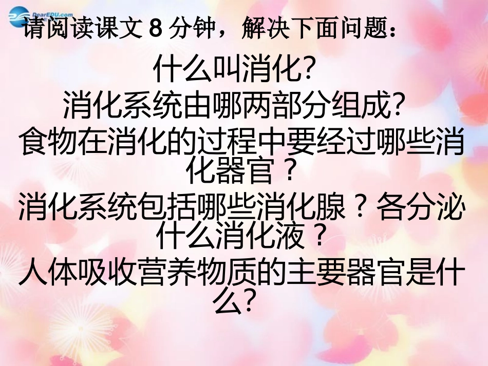 山东省泰安市新泰七年级生物下册 第二章 第二节消化和吸收课件 新人教版_第3页