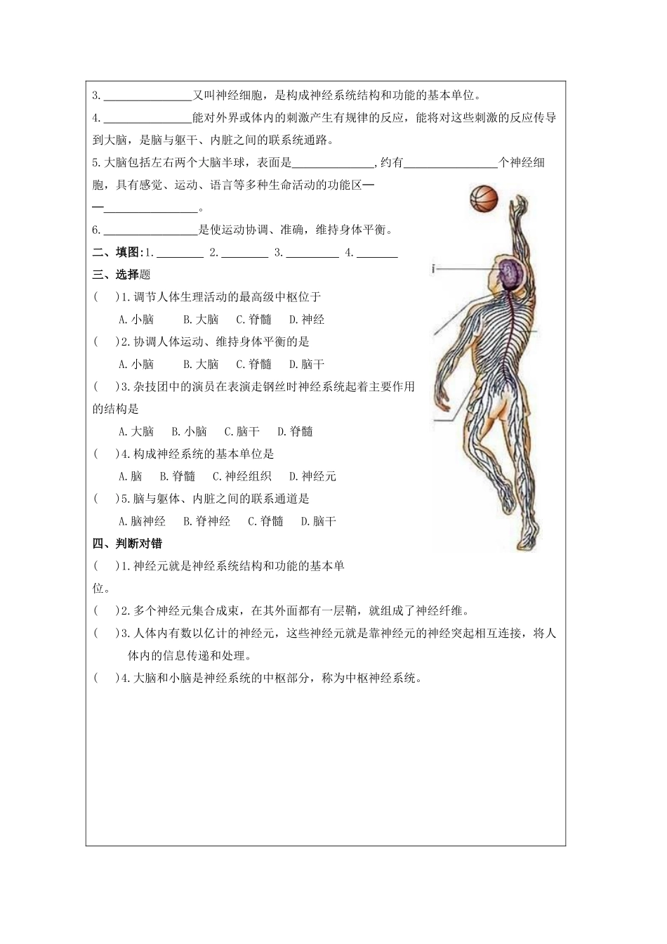 山东省泰安新泰市七年级生物下册 6.2 神经系统的组成学案（无答案） 新人教版_第2页