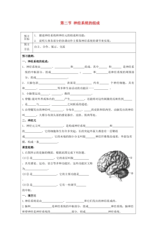 山东省泰安新泰市七年级生物下册 6.2 神经系统的组成学案（无答案） 新人教版