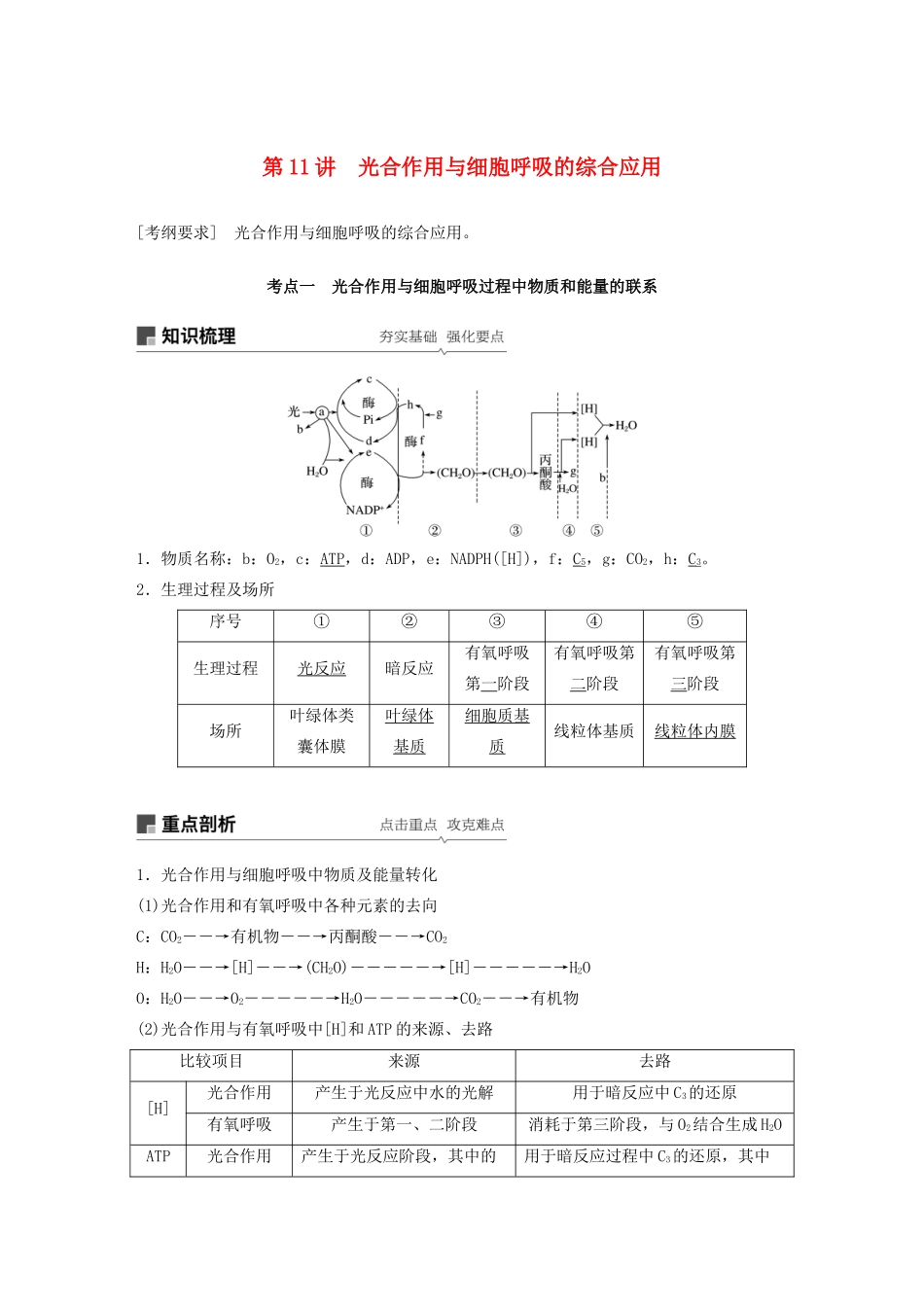 （江苏专用）高考生物新导学大一轮复习 第三单元 光合作用和细胞呼吸 第11讲 光合作用与细胞呼吸的综合应用讲义（含解析）苏教版-苏教版高三全册生物教案_第1页