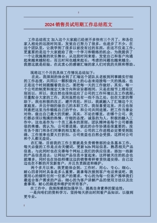 2017销售员试用期工作总结范文