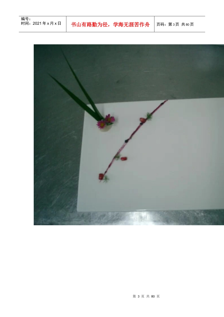 800种,餐饮盘式摆盘方法_第3页