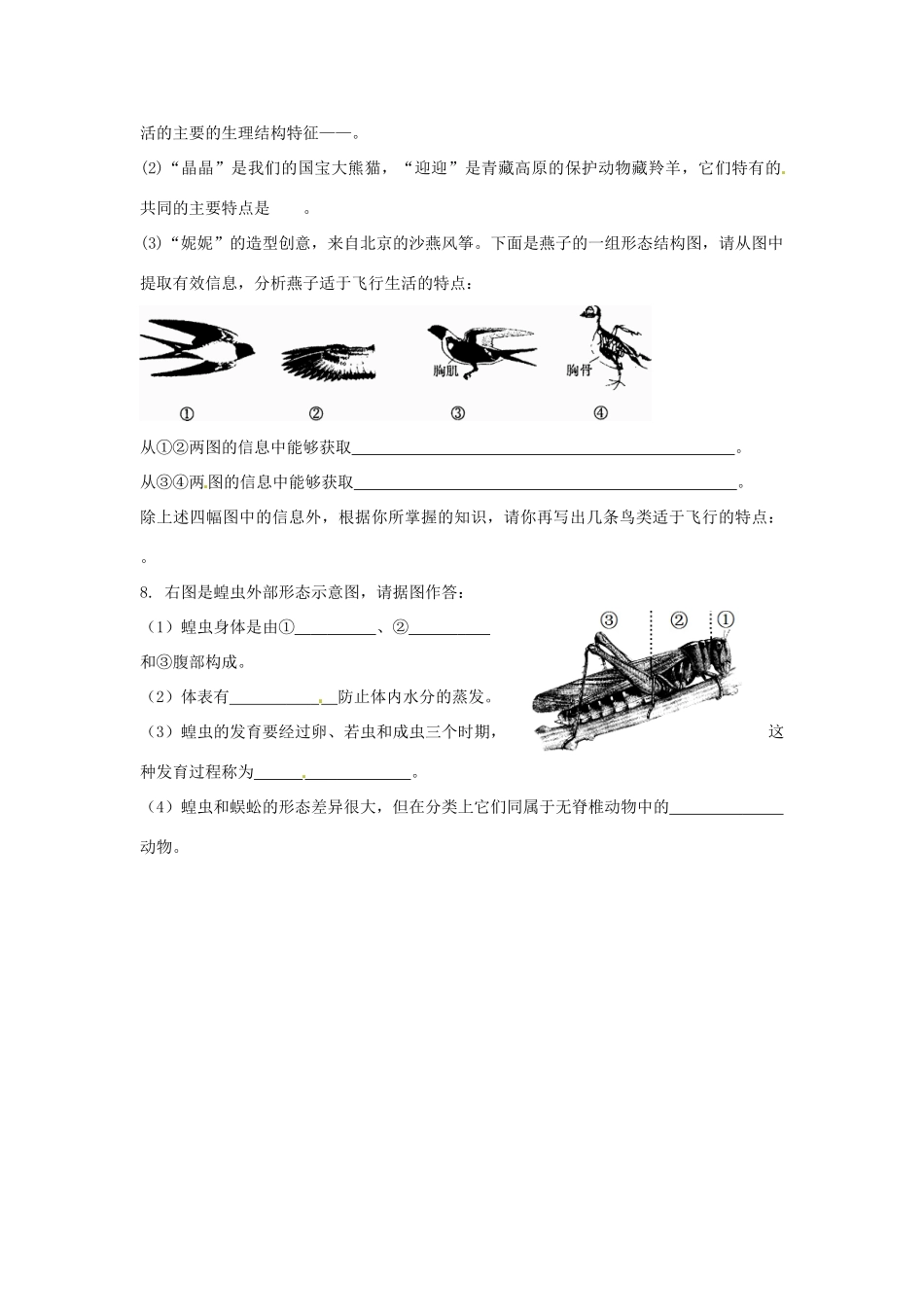 七年级生物下册 第11章《空中的生物》复习教案 苏科版_第3页